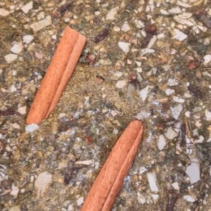 Aromatherapy / La aromaterapia